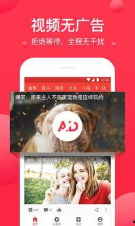 挑战全网吃瓜爆料视频下载,挑战吃瓜爆料视频下载，揭秘幕后真相！