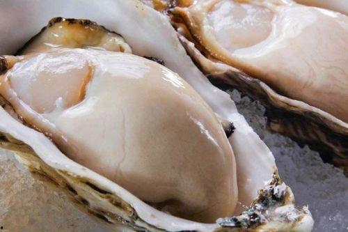 明星网红乳山牡蛎,明星加持下的海洋美味传奇