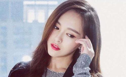 清明郑州明星网红,明星网红齐聚，共度绿色节日时光