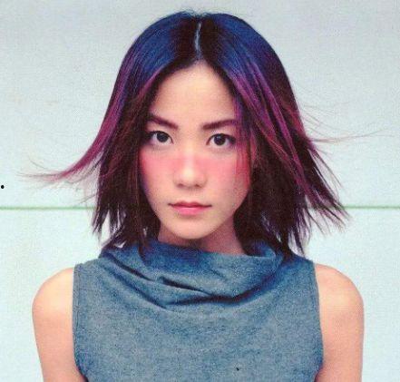 明星网红的关系,友谊与合作的交响曲