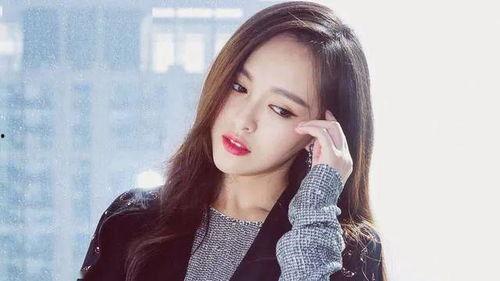 明星网红珍珠双皮奶,明星效应下的甜品新宠