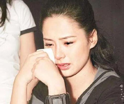 明星网红圈吵架