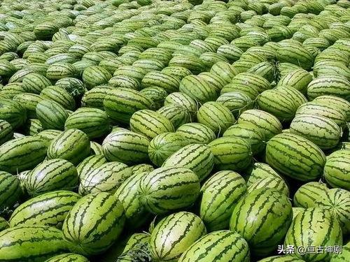 黑料吃瓜网热点大瓜,真相与八卦的碰撞