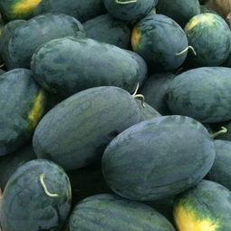 黑料吃瓜张警官,张警官的神秘案件调查纪实