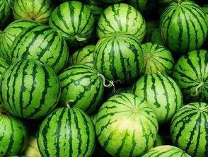 灵溪县最新吃瓜爆料,揭秘最新爆料背后的真相